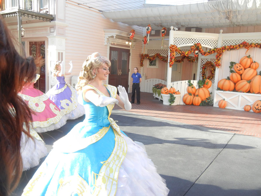 Disneyland Parade in the Day